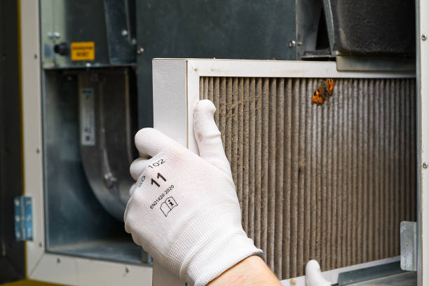 Best HVAC Air Duct Cleaning  in Gladwin, MI