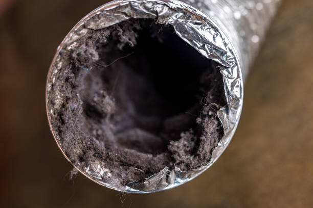 Best Professional Duct Cleaning Services  in Gladwin, MI